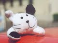 Barni\