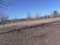 1.75' Salute Shell