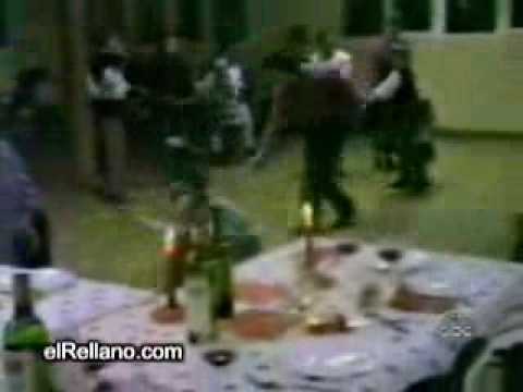 Caiditas Variadas