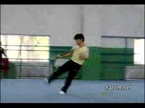 Goodbye Shandong Wushu Team