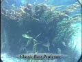 Using Current to Find Big Bass Using Current to Find Big Bass