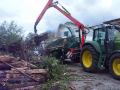 Holzhacken bei Epsilon in Elsbethen