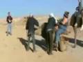 Fat lady rides Camel - NOT!