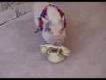 Nellie, World's Smartest Pig /Valentine's Performing Pigs