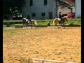 Reiterwettbewerb.wmv