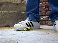 superstars crush
