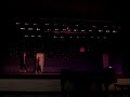 Starry starry nights  talent show; Martial arts