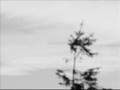 Arovane - Good bye Forever