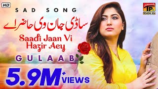 Gulaab   Sadi Jaan    Latest Punjabi Songs  TP Gol
