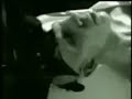 Autopsy - Marilyn Manson