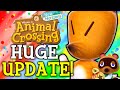 The Best 12 Animal Crossing New Horizons Update June 2021
