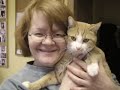 Feline Rescue 10th Anniversary Gala - Pt 1 of 2 Feline Rescue 10th Anniversary Gala - Pt 1 of 2