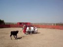 The Koldo Circus