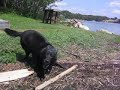 Cookie March at 16 years old! What a woman!
