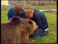 Brad pitt encounters and makes friends with a grizly bear