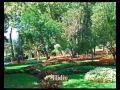 The Istanbul's parks and gardens - YouTube