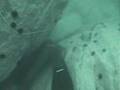 Buce Apnea en Quintero Chile