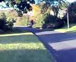 videos de first wheelie