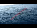 Algerie bejaia Chasse sous marine