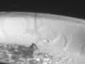 bexiga com �gua estourando a 4000 fps - netef