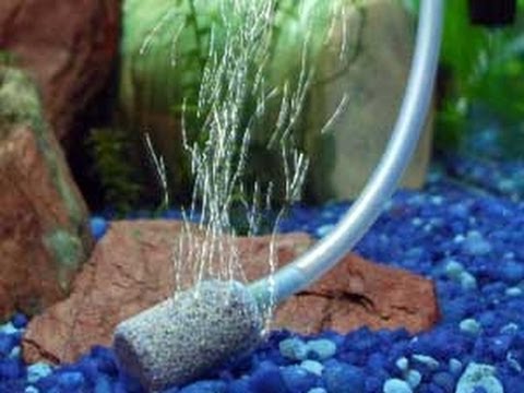 how to provide oxygen in aquarium