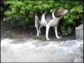 brazilian sexy boys   directors cut