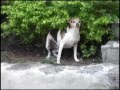 brazilian sexy boys   directors cut