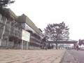 2008年FLS初滑り