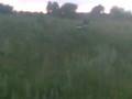 videos de ural rassia Ryazan