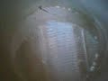 Rough rifle barrel