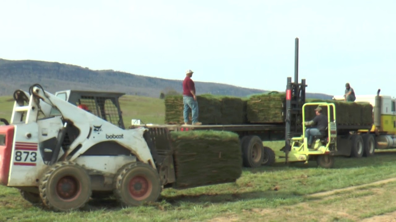 Chattanooga, TN Turf Production