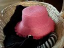 Eddy the Cat in Pink Hat & Paw