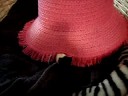 Eddy the Cat in Pink Hat & Paw