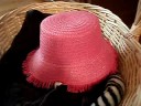 Eddy the Cat in Pink Hat & Paw