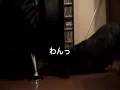 LOVE DOGG GABOO!!【第一回】