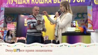 Беларусь, Минск, 27-28.02.2016 АННА РУДАКОВА - WCF all breed - Россия