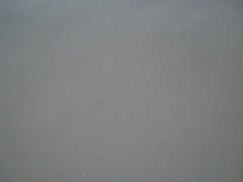 Video 68