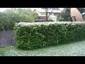 Click here to watch this video Snowfall - May 24th, 2012