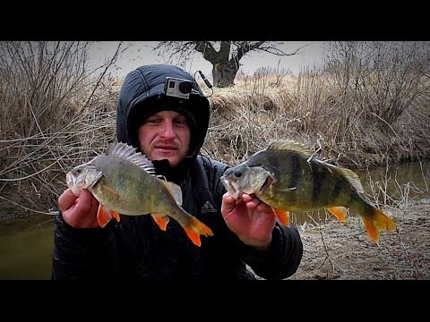 весенняя рыбалка на окуня в мае весенняя рыбалка на окуня в мае