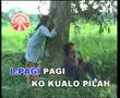 apo nak buek jang