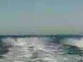 Qld pwc club A1 test