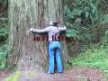 videos de ?