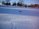 Hpi Baja on Ice