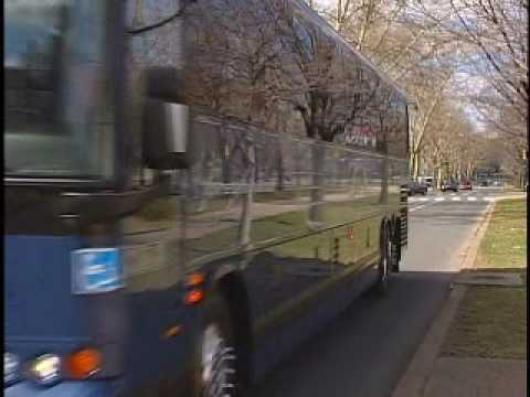 Greyhound