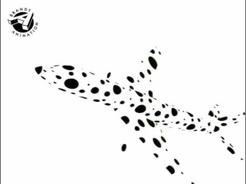 how to collect rbc points