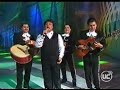 Juan Gabriel - No me vuelvo a enamorar - viña 2002