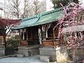 Plum Blossoms in Kyoto, Koto Music Plum Blossoms in Kyoto, Koto Music