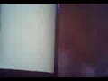 Videos de una mente pertubada: La mariposa asesina