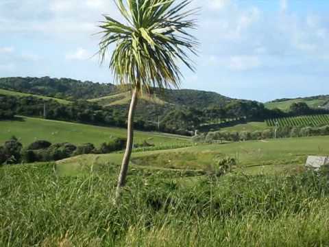 waiheke island auckland 0 WAIHEKE DESTINATION