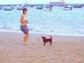 PERRO JUGANDO EN LA PLAYA